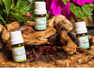 OREGANO ESSENTIAL OIL