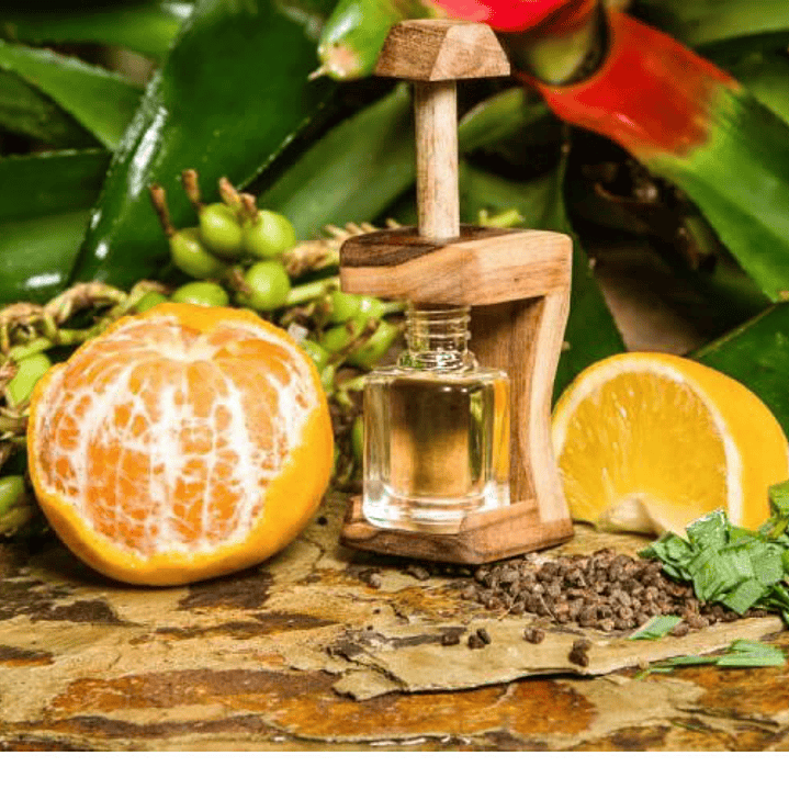 AMBIENTADOR OFICINA, CARDAMOMO LIMONCILLO Y NARANJA  1