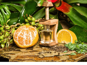 AMBIENTADOR DE OFICINA, LIMONCILLO, EUCALIPTO