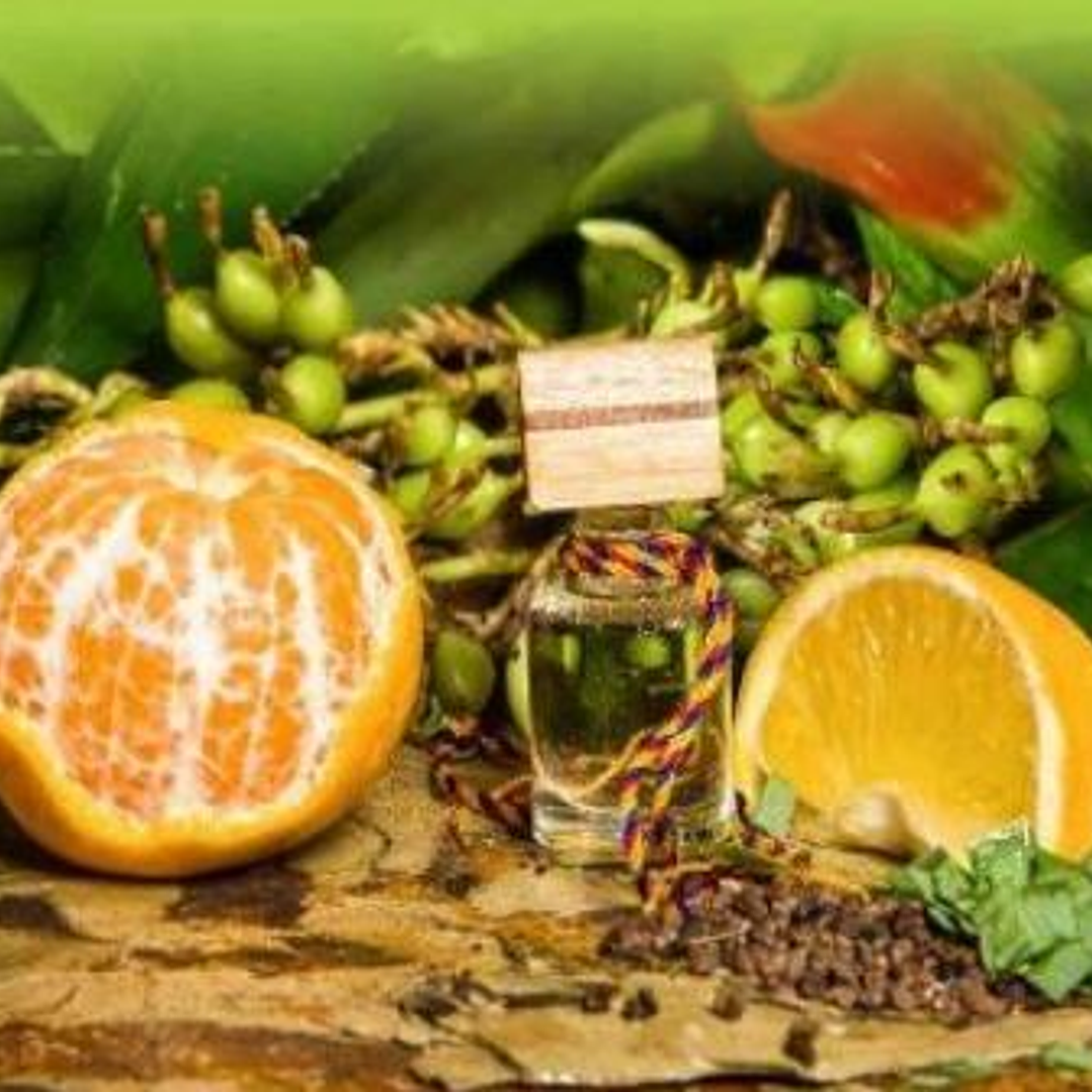 CARRO FRESHENER, CARDAMOMO 1