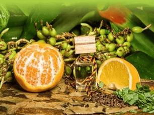 FRIGO DE CARRO, LIMONCILLO