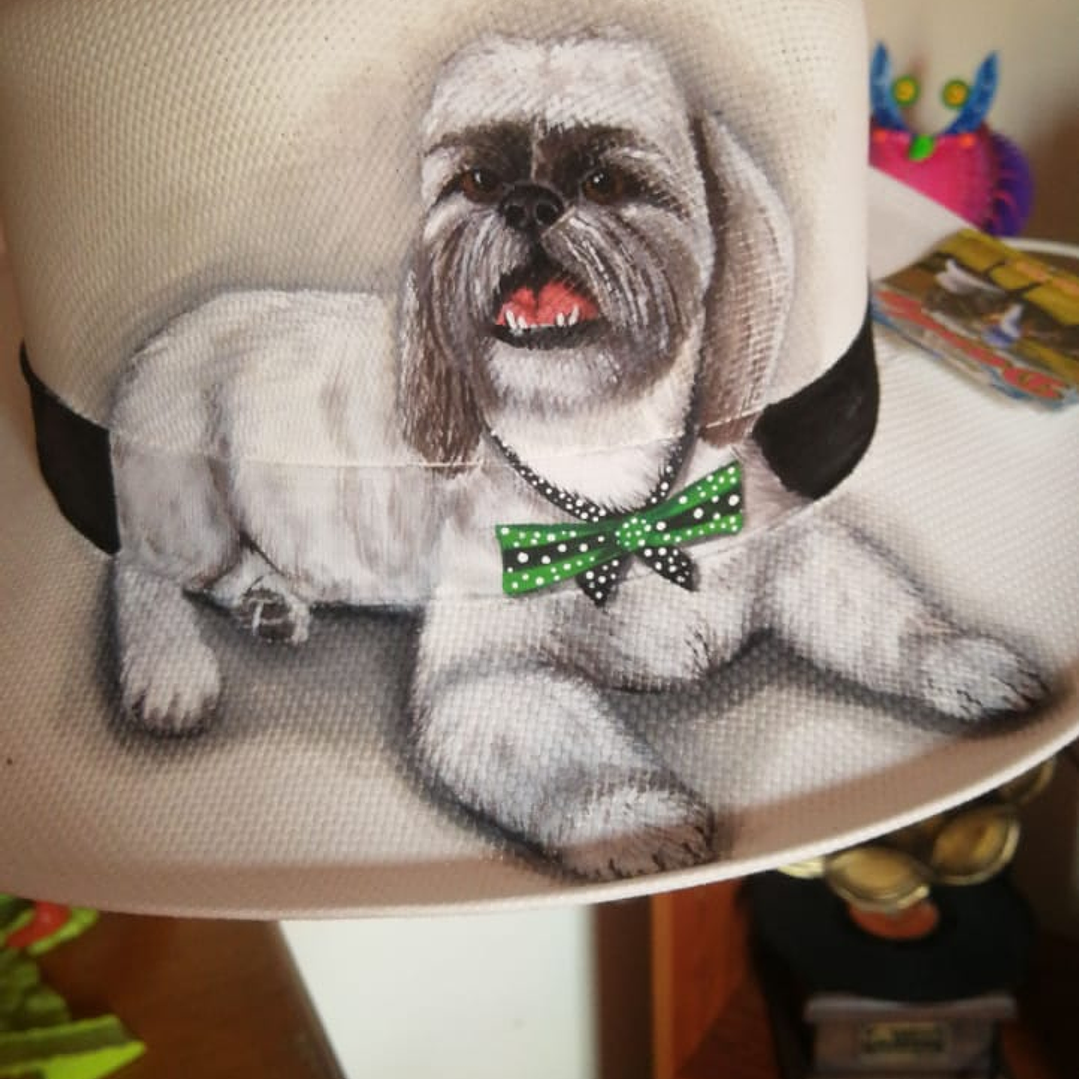 sombrero de perro 1
