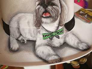 sombrero de perro