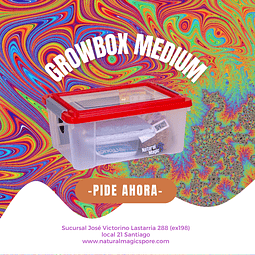 Kit Growbox Medium 