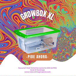 Kit Growbox XL 