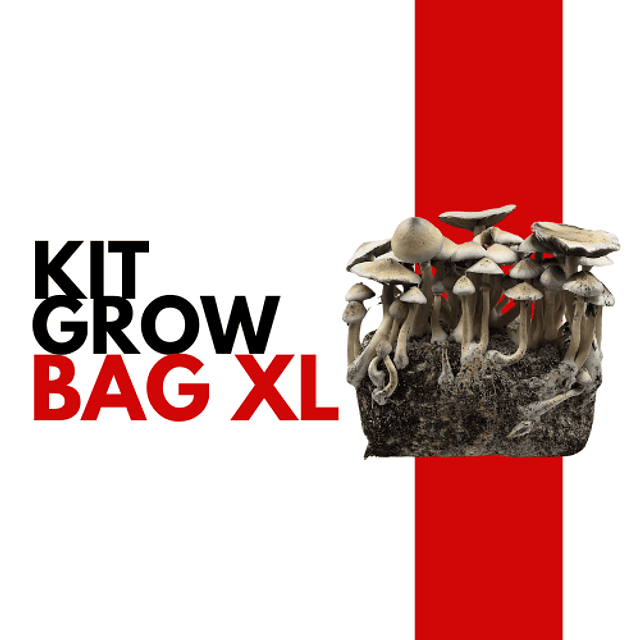 GrowBag  Kit XL + Placa de calor 7w regalo