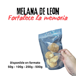 Melena de leon Disponible en formato 50g - 100g - 250g - 500g