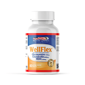 Well Flex 60 Tabletas Healthy America