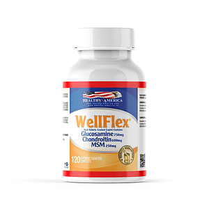 Well Flex 120 Tabletas Healthy America