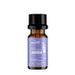 Aceite esencial lavanda 10 ml - Miniatura 1