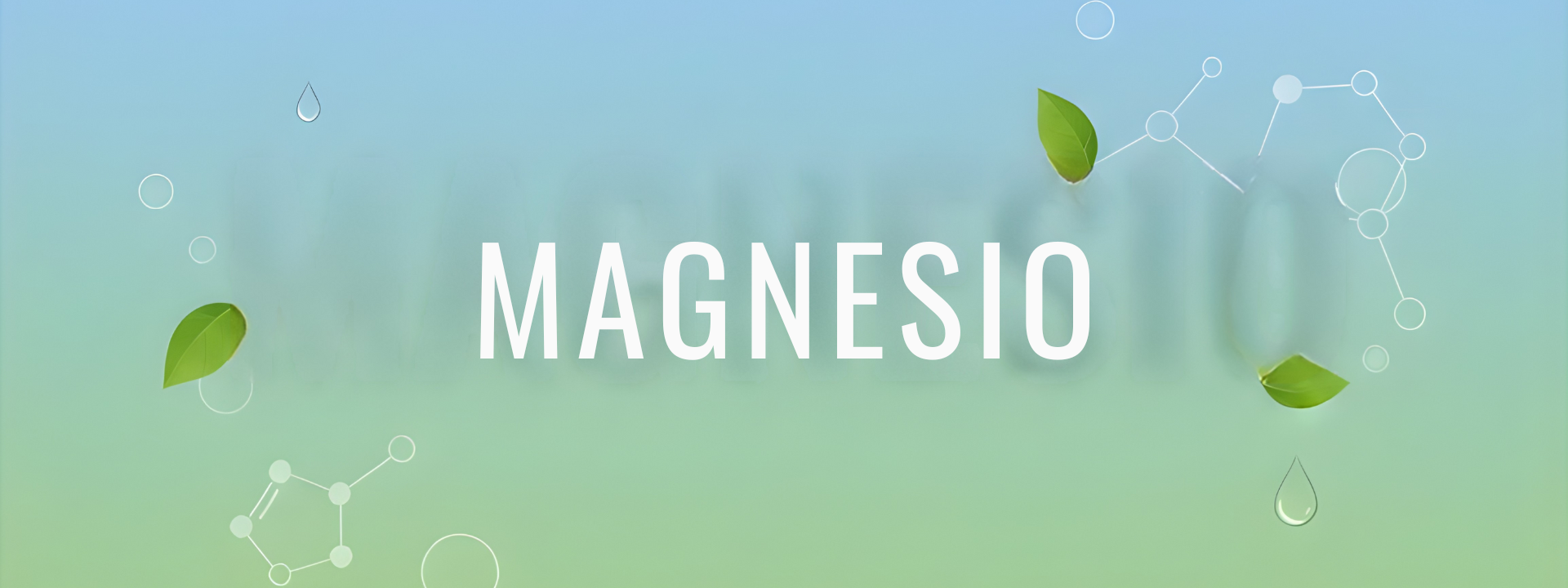 Magnesio: tipos, beneficios y cuál elegir según tu objetivo