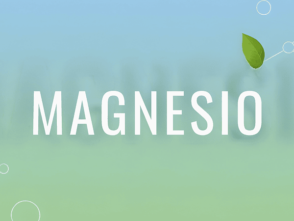 Magnesio: tipos, beneficios y cuál elegir según tu objetivo