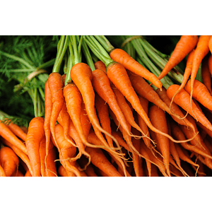 Carrots