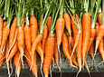 Carrots