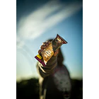 BARRA DE CEREAL CHOCOLATE - DISPLAY 5U 3