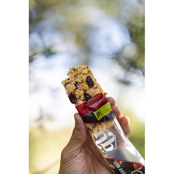 BARRA DE CEREAL ARÁNDANOS ROJOS DISPLAY 16U 3