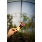 BARRA DE CEREAL ARÁNDANOS ROJOS - DISPLAY 5U 3