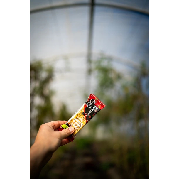 BARRA DE CEREAL ARÁNDANOS ROJOS - DISPLAY 5U 3