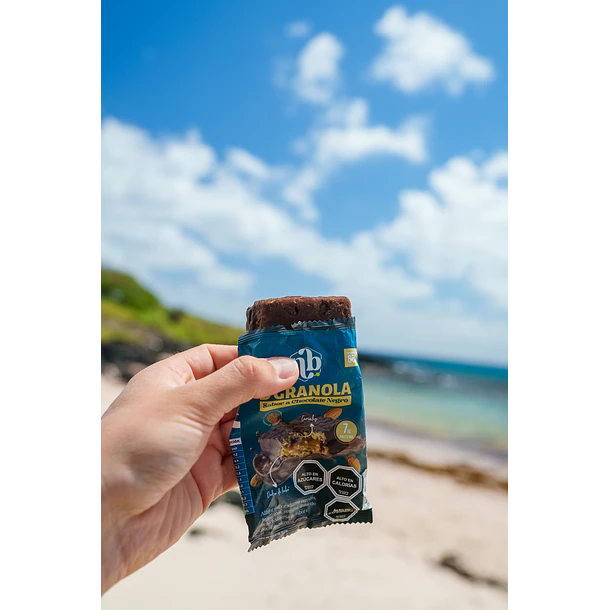 ALFAJOR D´GRANOLA CHOCOLATE NEGRO - DISPLAY 8U 3