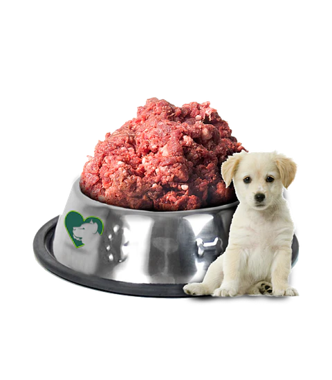 Menu Cachorro