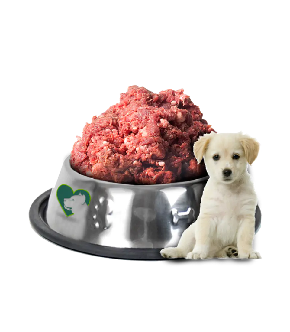 Puppy Menu 1