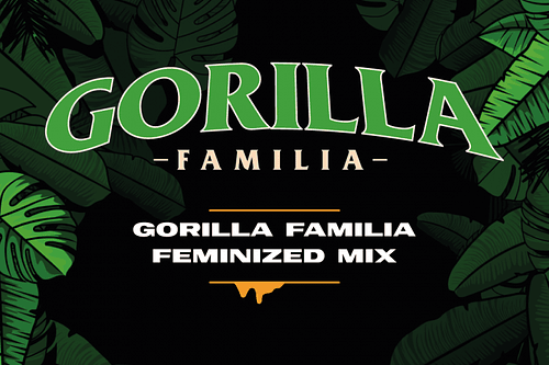 Bsf Mix Gorilla Familia Feminized x12