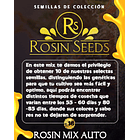 Semilla de marihuana Rosin Seeds Auto Mix x10 1