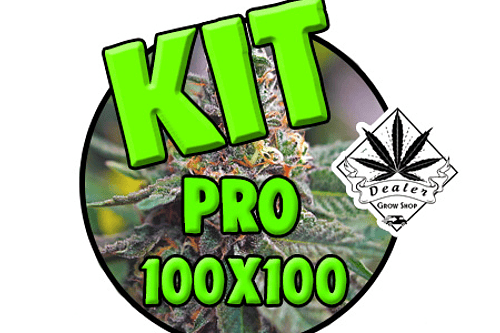 Kit Indoor Pro 100x100 400w O 600W ENVIO GRATIS A TODO CHILE