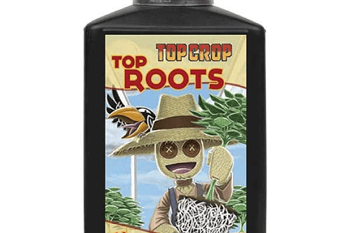 TOP ROOTS 1L 