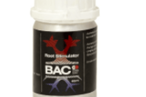 BAC - ROOT STIMULATOR 60ML