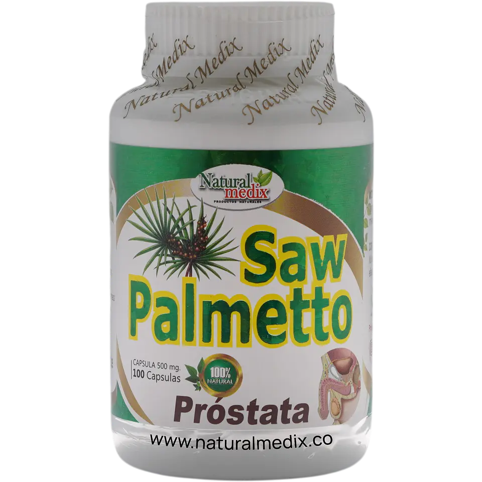 Saw Palmetto 1