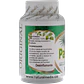 Saw Palmetto - Miniatura 4