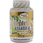Centella asiática - Miniatura 1