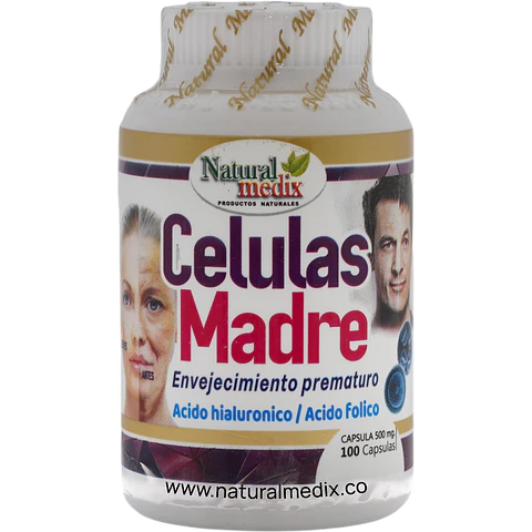 Células Madre
