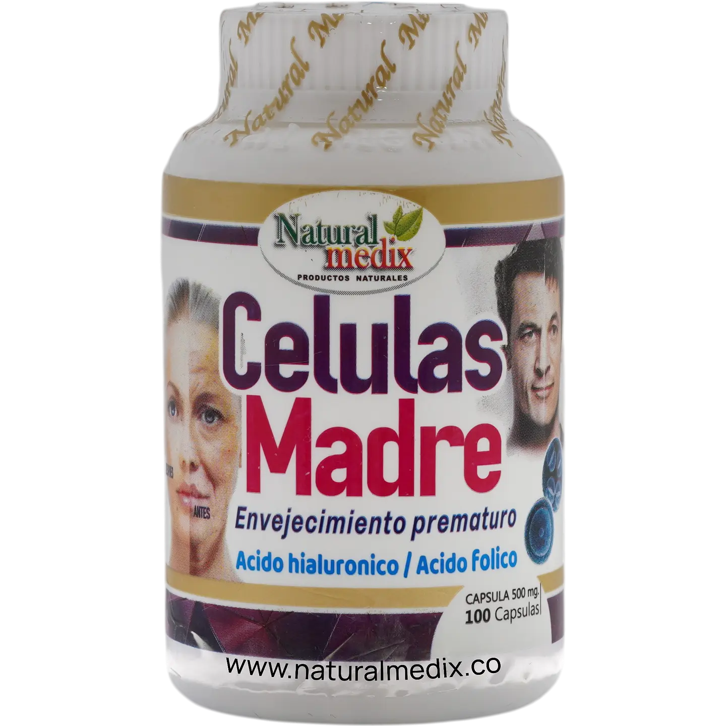 Células Madre 1