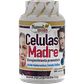 Células Madre - Miniatura 1