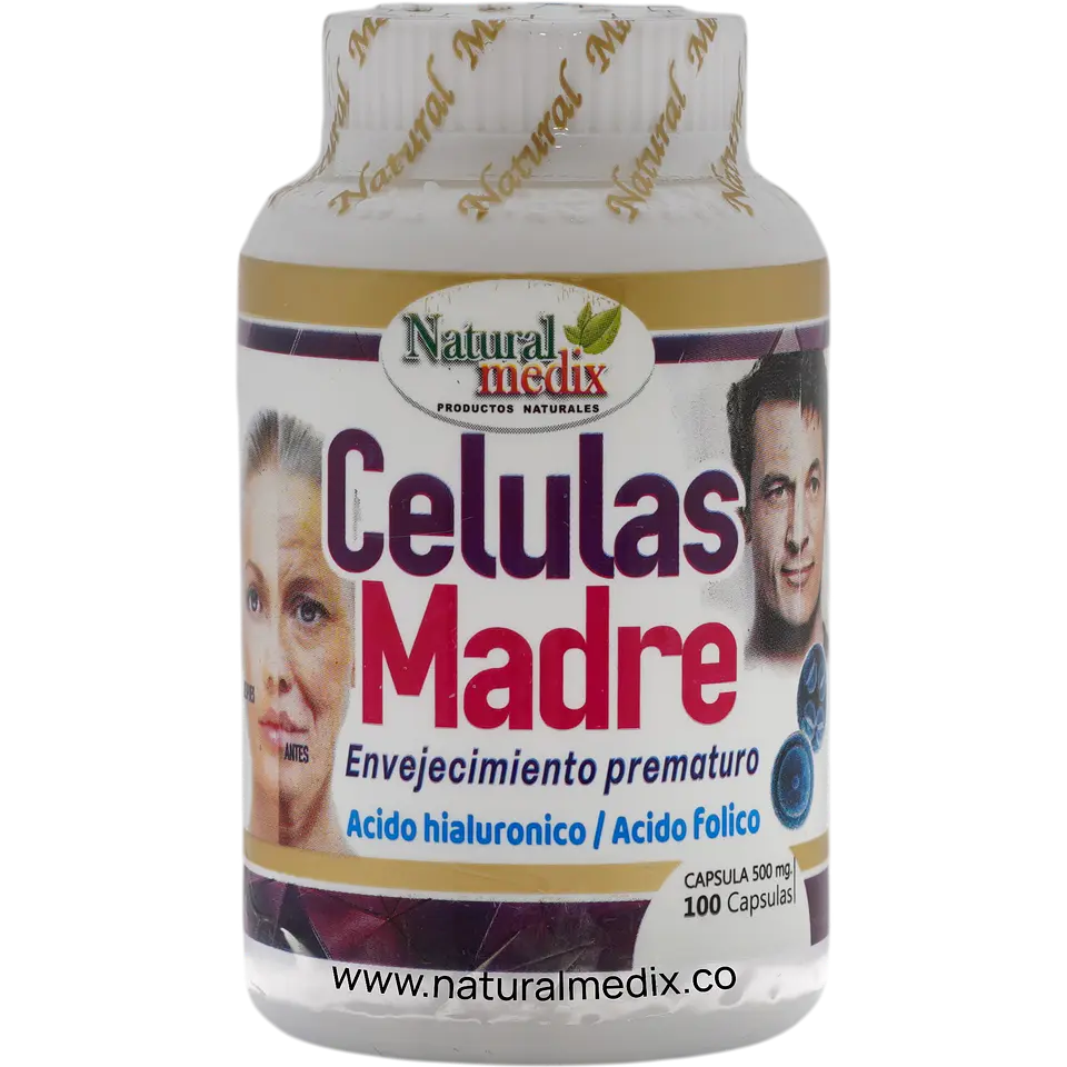 Células Madre 1