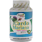 Cardo Mariano - Miniatura 1