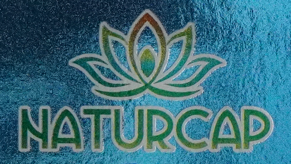 Must-Have Makeup Essentials