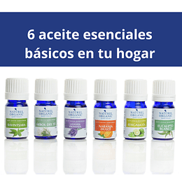 Cofre 6 aceites esenciales básicos para aromaterapia   