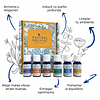 Cofre 6 sinergias para difusión de aromaterapia