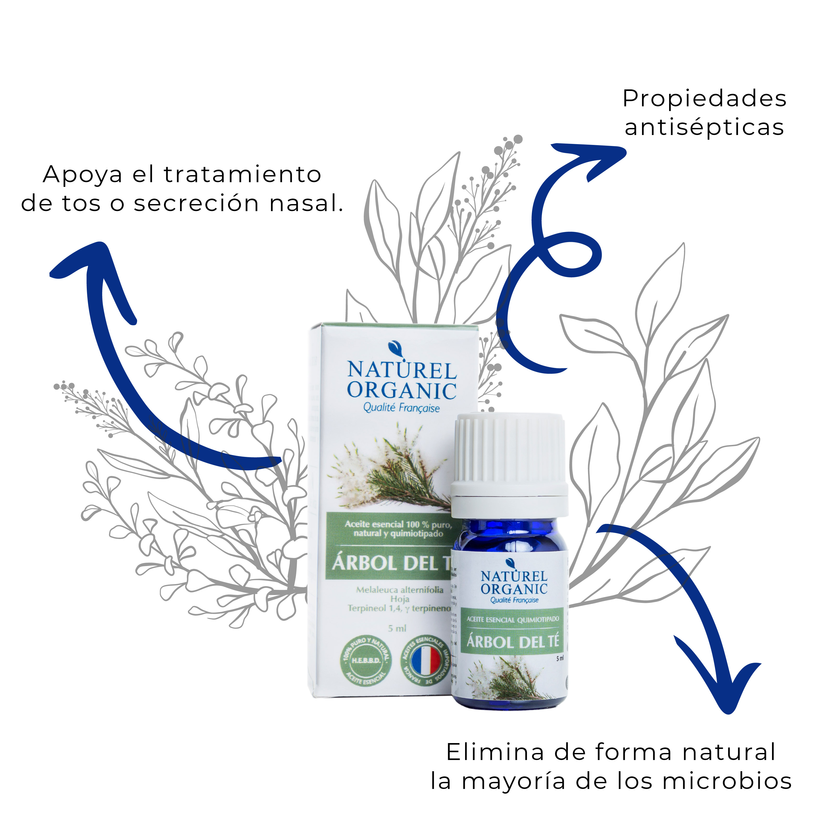 Aceite Esencial de Árbol del Té. Tea Tree - 100% natural
