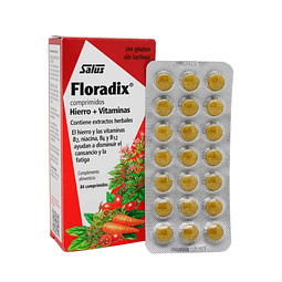 Floradix 84 comprimidos Salus