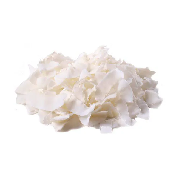Chips de coco natural