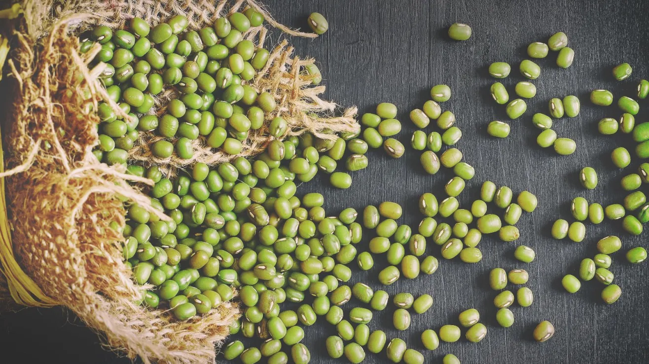 Porotos Mung: los beneficios de esta codiciada legumbre llena de proteínas y minerales