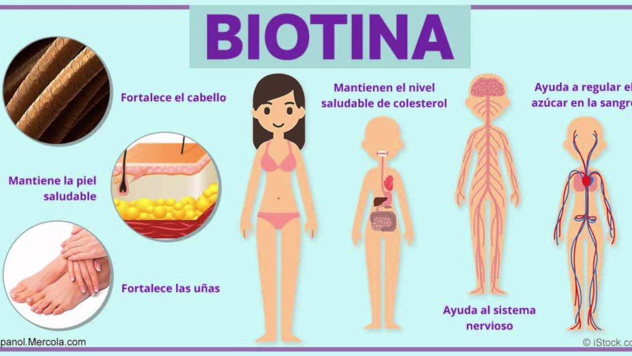 Propiedades y beneficios de la Biotina.
