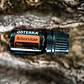 Aceite Esencial Arborvitae doterra 5ml Naturísimas - Miniatura 5