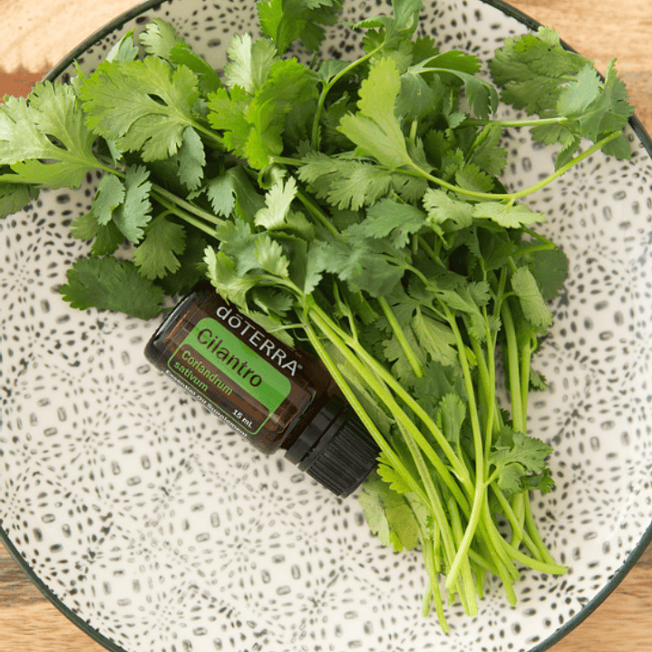 Aceite Esencial Cilantro doterra 15ml Naturísimas 2