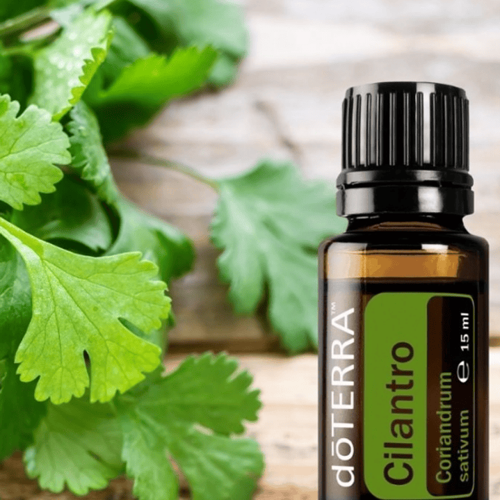 Aceite Esencial Cilantro doterra 15ml Naturísimas 6