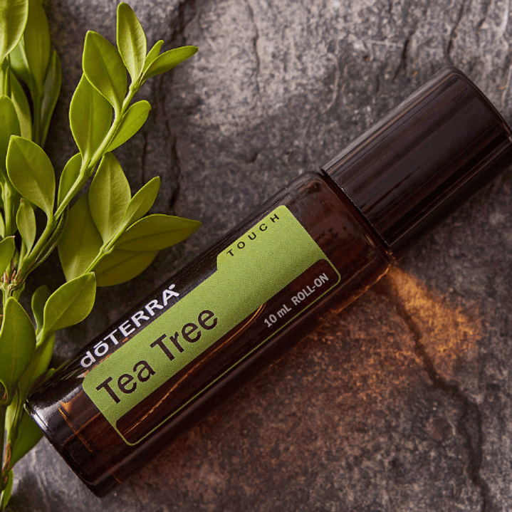 Aceite Esencial Tea Tree doterra 10ml  touch Naturísimas 5